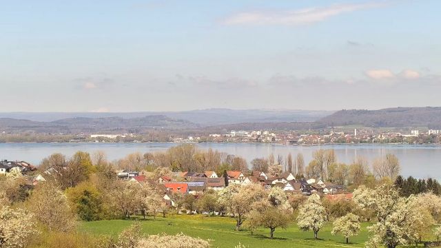 Shore of Unter lake in Gaienhofen town, Germany