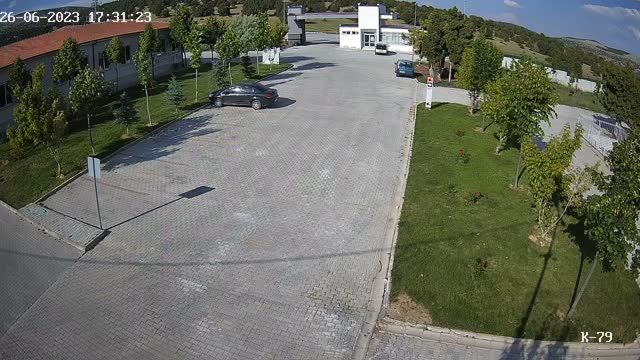 Animal shelter in Konya, T&uuml;rkiye (cam #2)