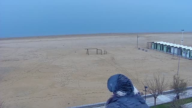 Bibione beach in Venice city, Italy (view from Ashanti ApartHotel)