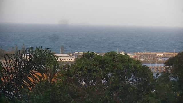 Muttonbird Island Nature Reserve in Coffs Harbour, Australia