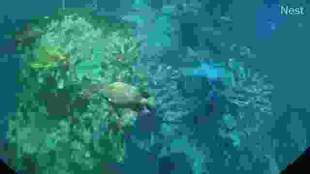New England Aquarium in Boston, MA, USA