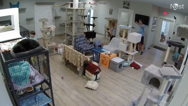 Five Acres Animal Shelter in St Charles, MO, USA