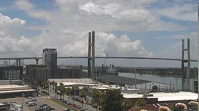 Talmadge Memorial Bridge in Savannah, GA, USA