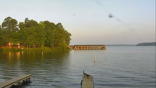 Eaton Ferry Marina at Gaston Lake in Littleton, NC, USA