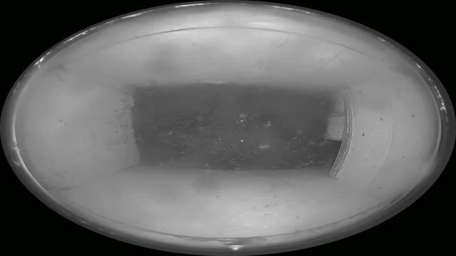 Barn owl nest box in the Tatra Mountains, Slovakia