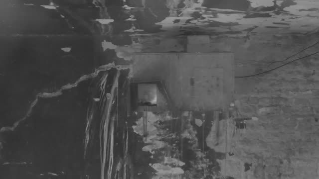 Barn owl nest box in the Tatra Mountains, Slovakia (cam #2)