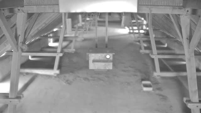 Barn owl nest box in Roznava, Slovakia (cam #2)