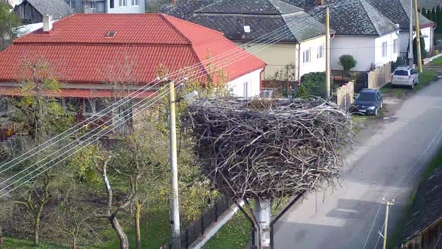 Stork's nest in Zempl&iacute;nske Hradiste, Slovakia