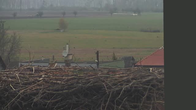 Stork's nest in Brest v Rajeckej Lesnej, Slovakia