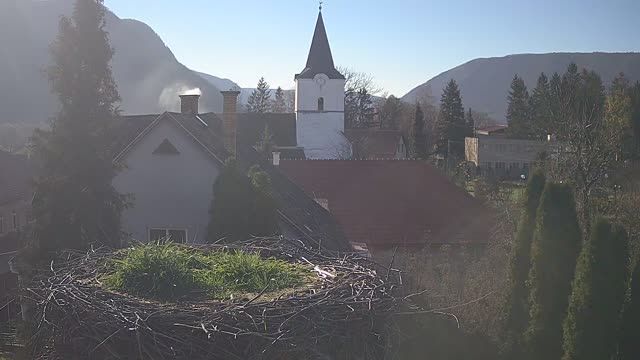 Stork's nest in Brzot&iacute;n, Slovakia