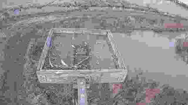 Osprey nest at Blackwater National Wildlife Refuge, MD, USA