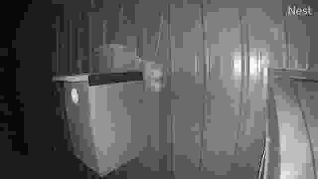 Northern Flickers nest box near Parker, CO, USA (cam #2)
