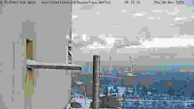 Kestrel nest on the roof of the Corbusier House in Berlin, Germany (cam #3)