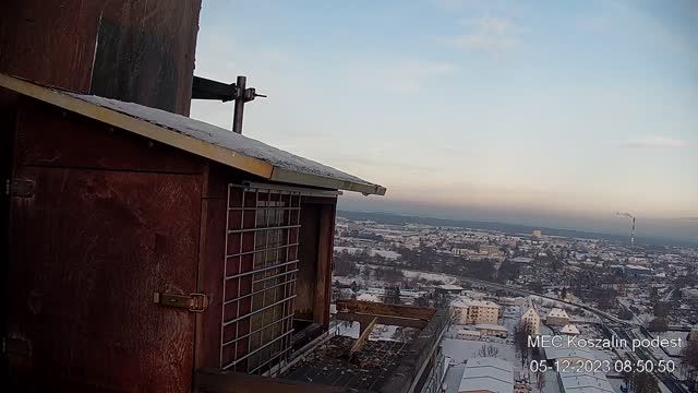Falcon's nest at the Municipal Thermal Energy Company in Koszalin, Poland (cam #2)