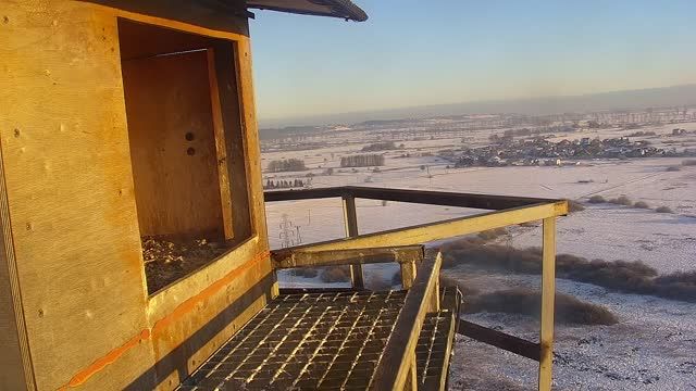 Falcon's nest at the Municipal Thermal Energy Company "Koksik" in Reda, Poland