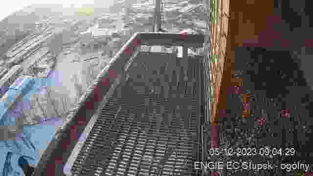 Falcon's nest in Engie EC Slupsk Sp. z o.o., Poland (cam #2)