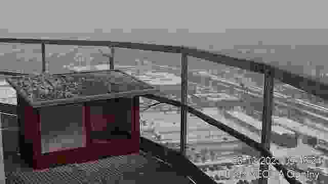 Falcon's nest at Veolia Energy in Lodz, Poland