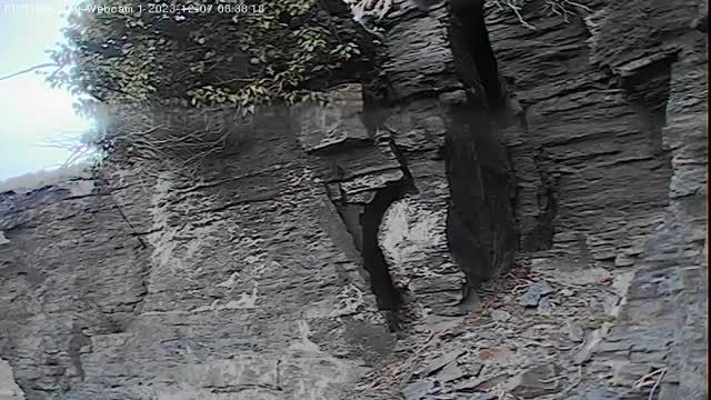 Bird watching in the Eifel Mountains, Germany