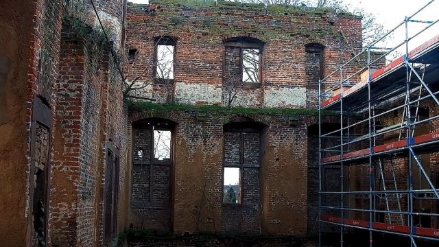 Crows in an old building in the Eifel Mountains, Germany