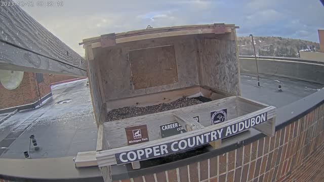 Peregrine Falcon nesting box on top of the EERC Maker Space in Houghton, MI, USA