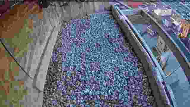 Falcon's nest on Genesee Street in Utica, NY, USA (cam #3)