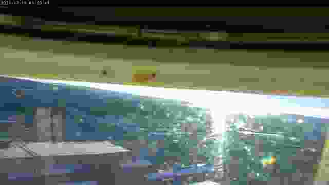Peregrine falcon nest at the Rachel Carson State Office Building in Harrisburg, PA, USA (cam #2)