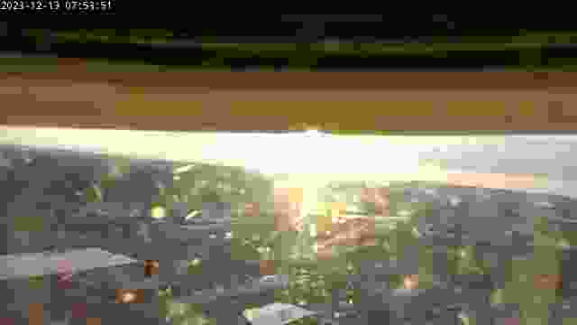 Peregrine falcon nest at the Rachel Carson State Office Building in Harrisburg, PA, USA (cam #3)