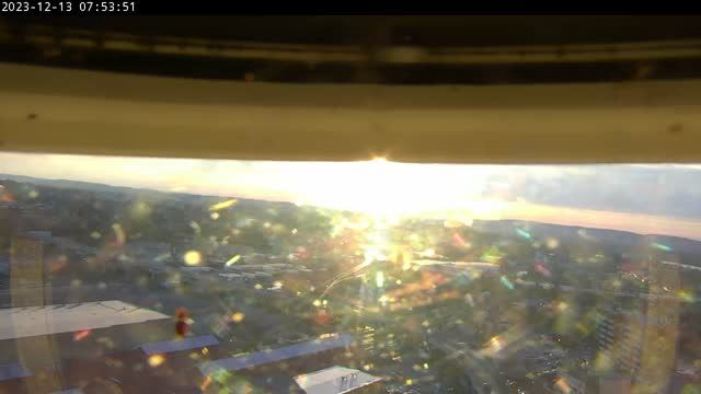 Peregrine falcon nest at the Rachel Carson State Office Building in Harrisburg, PA, USA (cam #3)