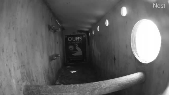 Owl nest box at Port of stockton-west complex in Stockton, CA, USA